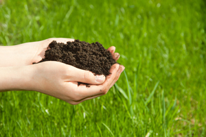 person holding dirt